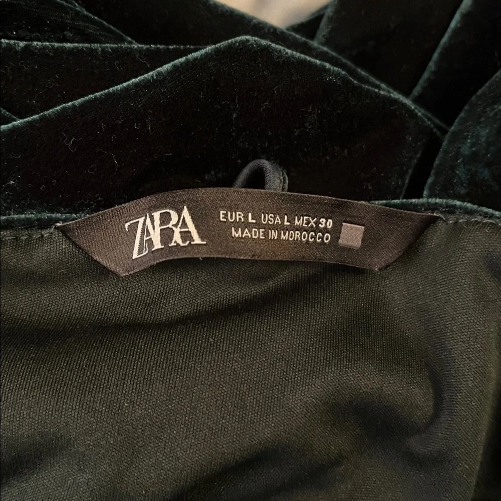 Zara velvet dress - Picture 7 of 7